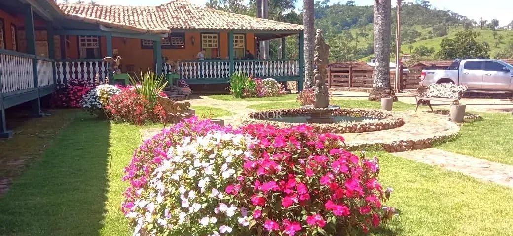 Fazenda, 451 hectares - Foto 23
