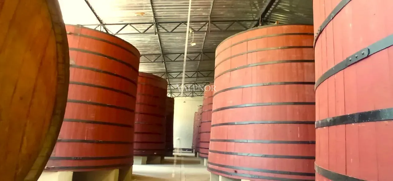 Fazenda, 451 hectares - Foto 6
