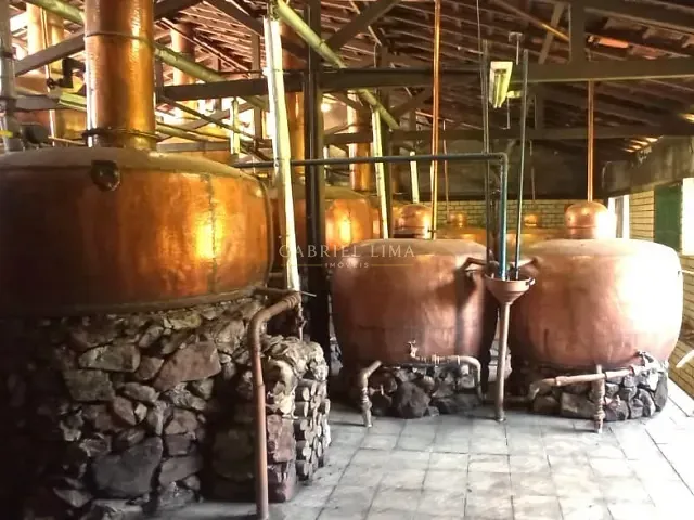Fazenda com 4510000m² 6 quartos e 6 banheiros, à venda, no bairro Centro em Moeda