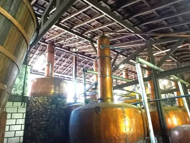 Fazenda com 4510000m² 6 quartos e 6 banheiros, à venda, no bairro Centro em Moeda