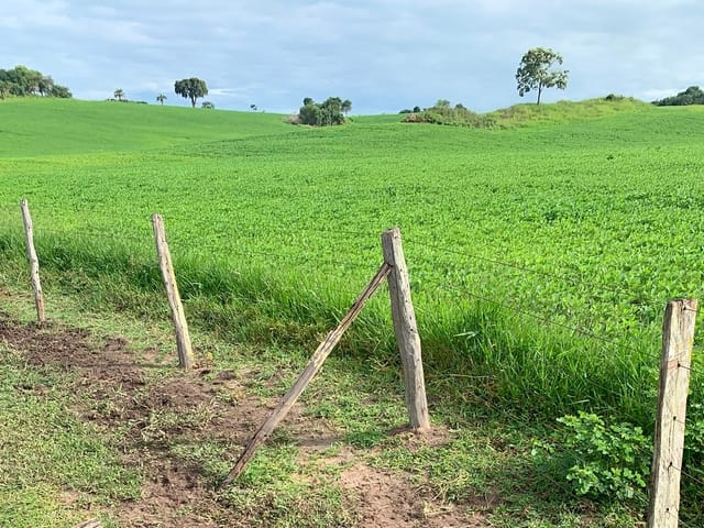 Fazenda com 1317600m², à venda, no bairro Zona Rural em Jandaia