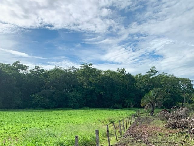 Fazenda com 1317600m², à venda, no bairro Zona Rural em Jandaia