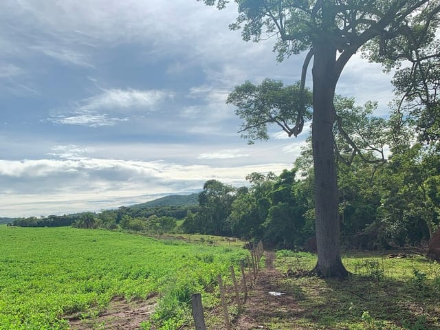 Fazenda com 1317600m², à venda, no bairro Zona Rural em Jandaia