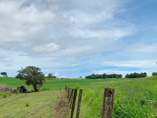 Fazenda com 1317600m², à venda, no bairro Zona Rural em Jandaia