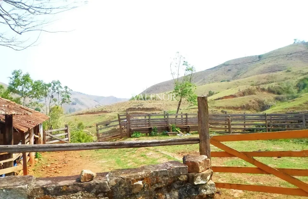 Fazenda, 500 hectares - Foto 23