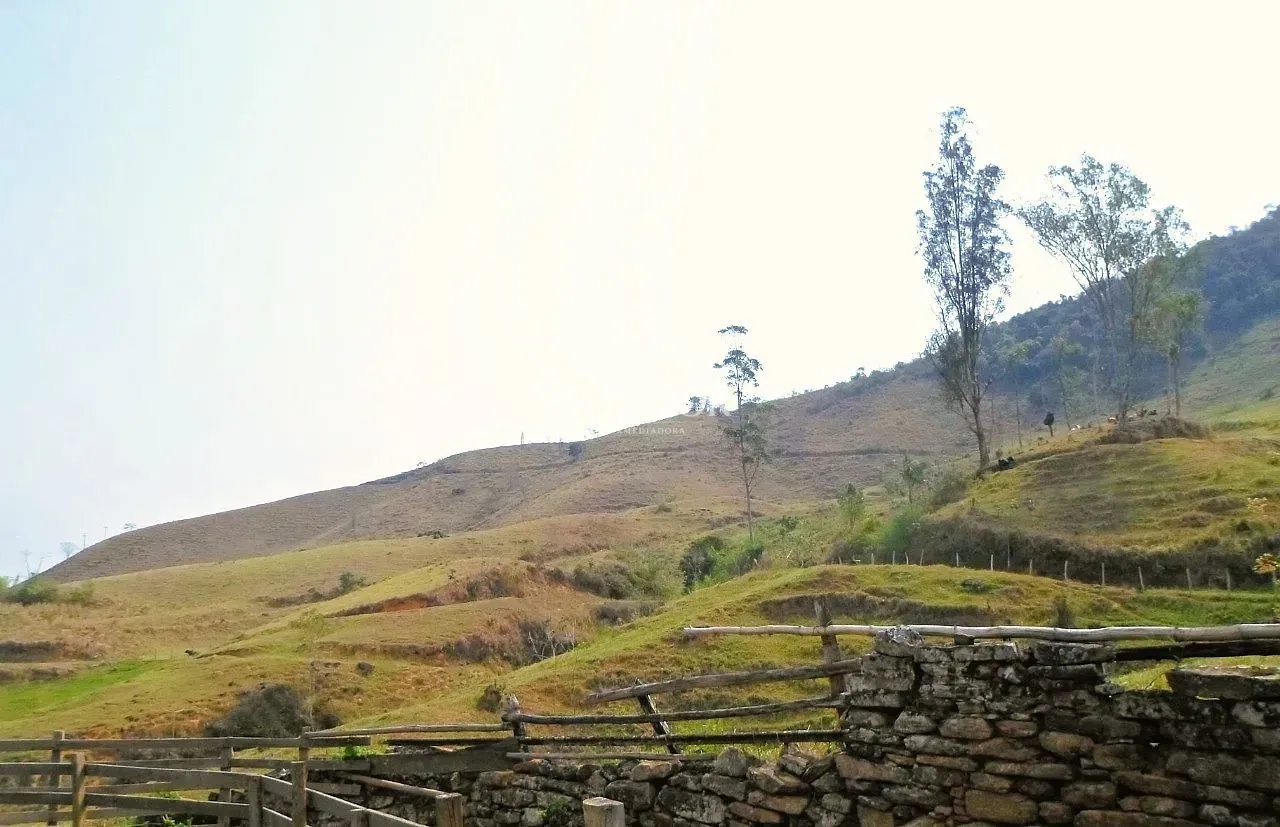 Fazenda, 500 hectares - Foto 22
