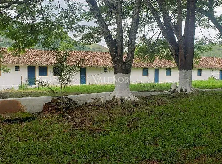 Fazenda, 500 hectares - Foto 10