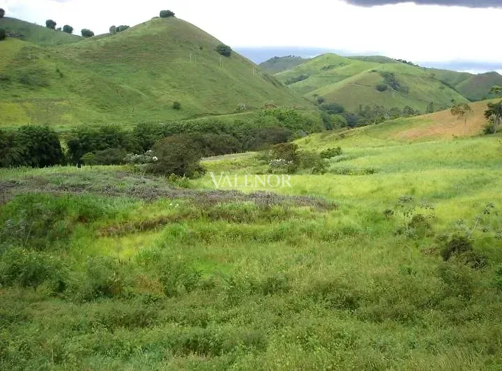 Fazenda, 500 hectares - Foto 24