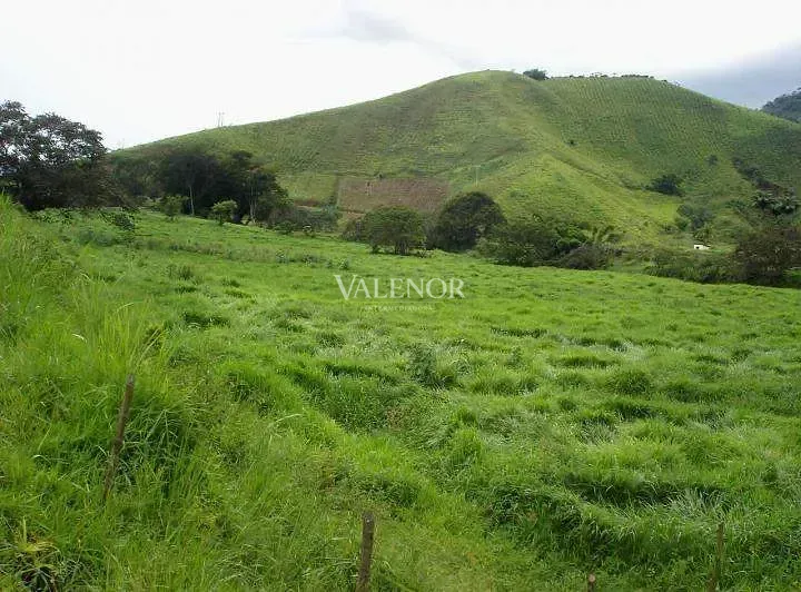 Fazenda, 500 hectares - Foto 21