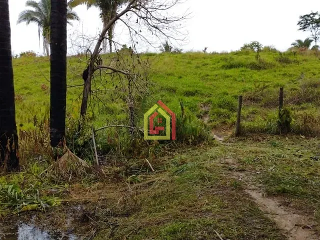 Fazenda com 4840000m², à venda, no bairro Zona Rural em Novo Repartimento