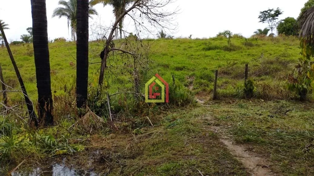 Rural à venda com 4840000m² de terreno no Zona Rural, Novo Repartimento (PA) — foto 2 de 8