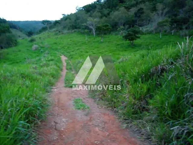 Fazenda 3 quartos e 2 banheiros, à venda, no bairro Almenara em Almenara