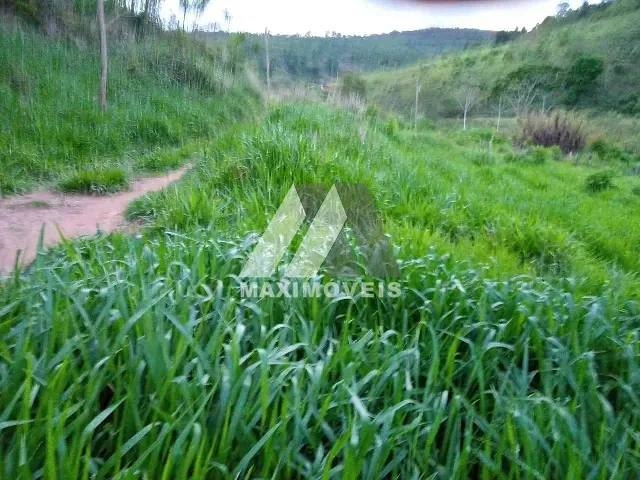 Fazenda 3 quartos e 2 banheiros, à venda, no bairro Almenara em Almenara