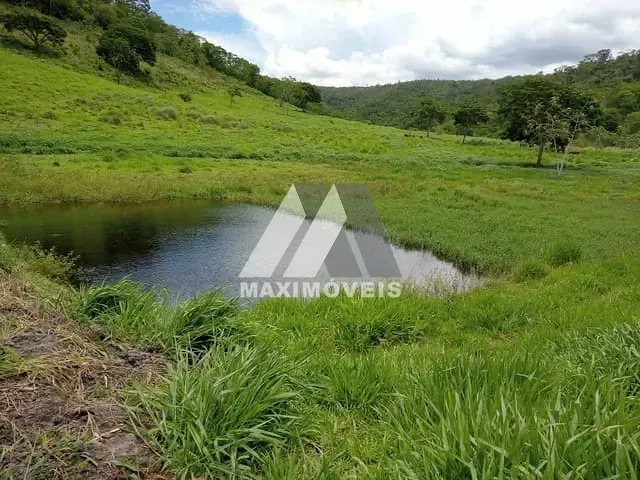 Fazenda 3 quartos e 2 banheiros, à venda, no bairro Almenara em Almenara