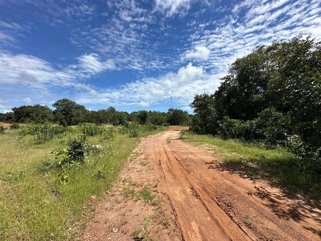Fazenda à venda, no bairro FAZENDA em Figueirópolis