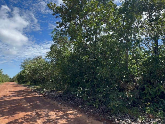 Fazenda à venda, no bairro FAZENDA em Figueirópolis