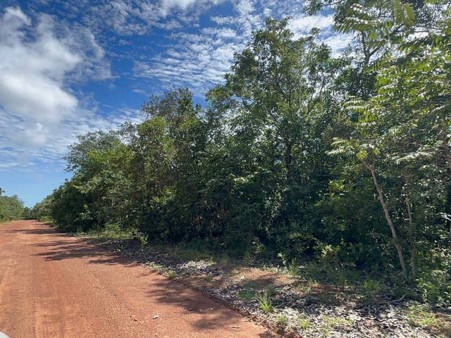 Fazenda à venda, no bairro FAZENDA em Figueirópolis