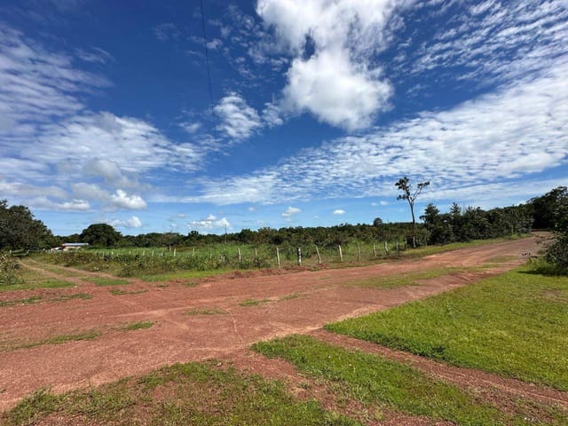 Fazenda à venda, no bairro FAZENDA em Figueirópolis