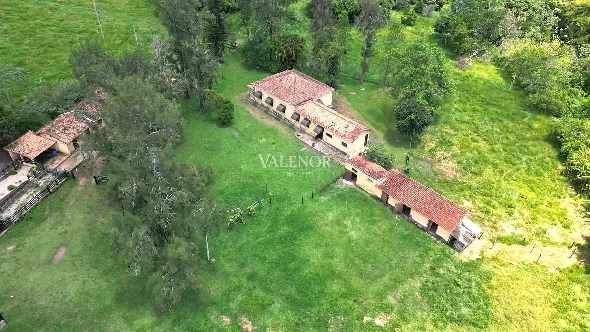 Fazenda, 775 hectares - Foto 4