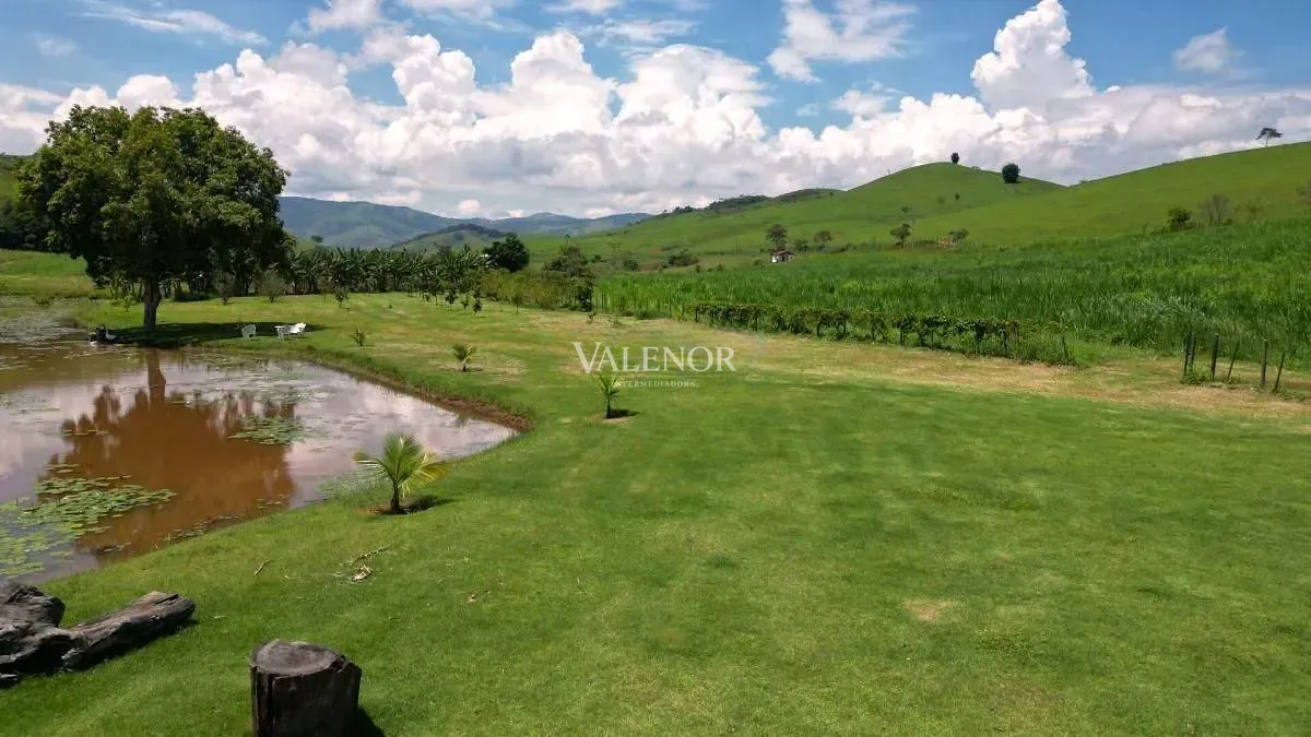 Fazenda, 775 hectares - Foto 2