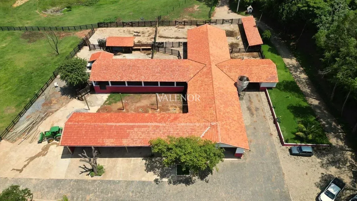Fazenda, 775 hectares - Foto 1