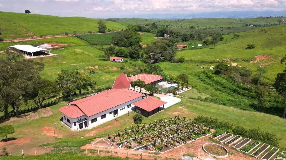 Fazenda, 775 hectares - Foto 6