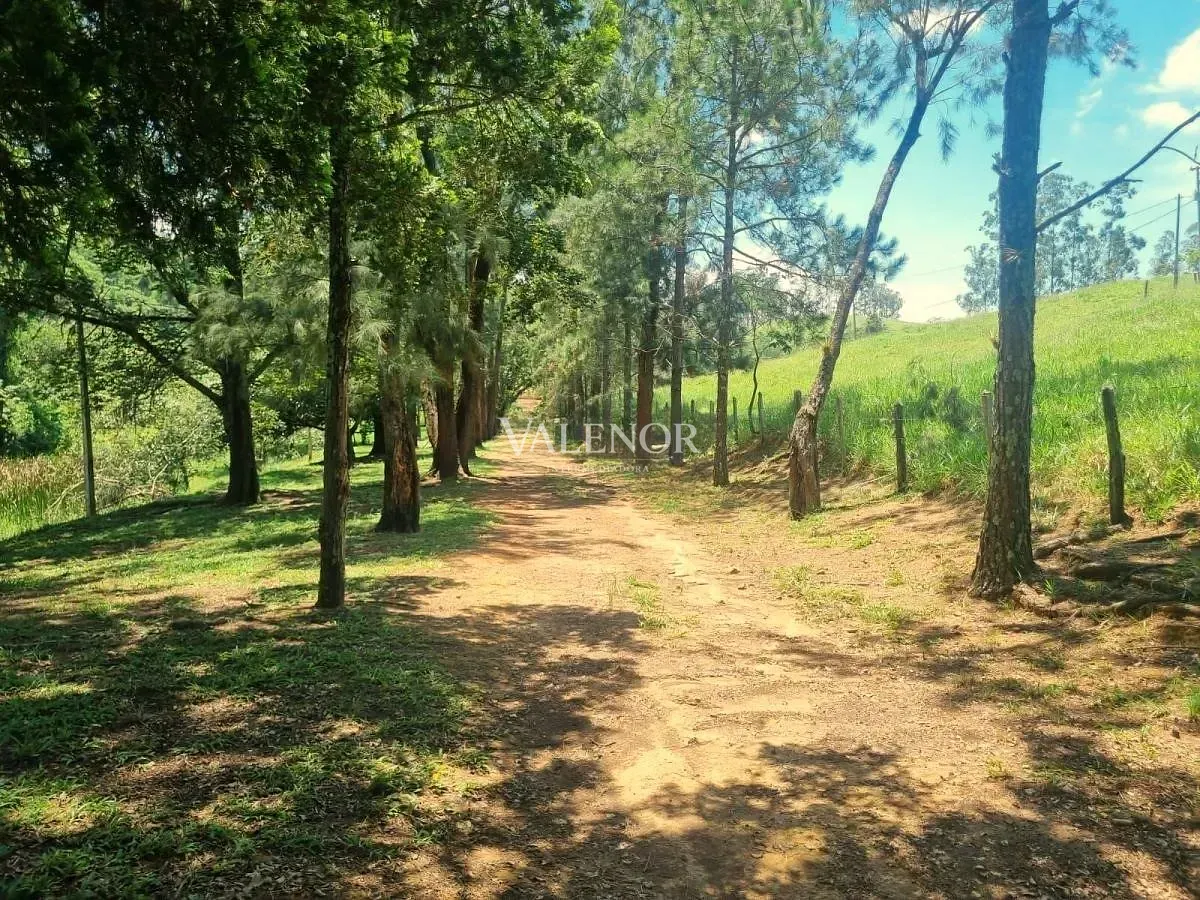 Fazenda, 775 hectares - Foto 12