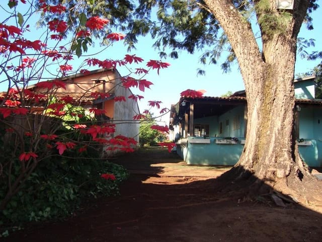 Foto do Fazenda - Rancho à venda por R$ 600.000,00 - Quatif - Água Comprida/MG | ZUCATO IMOBILIARIA LTDA