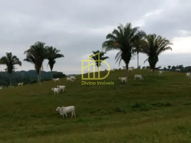 Fazenda com 5977400m², à venda, no bairro Jardim Sao Conrado em Registro