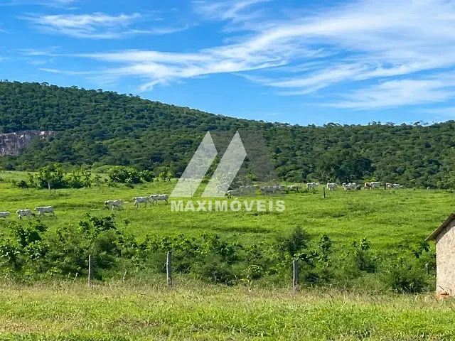 Fazenda à venda, no bairro Itinga em Itinga
