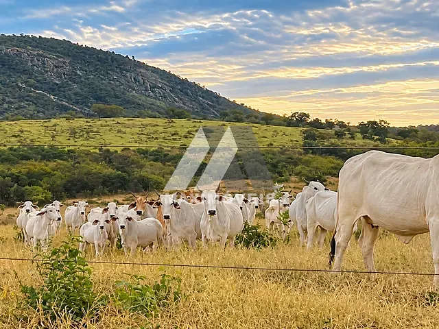 Fazenda à venda, no bairro Itinga em Itinga