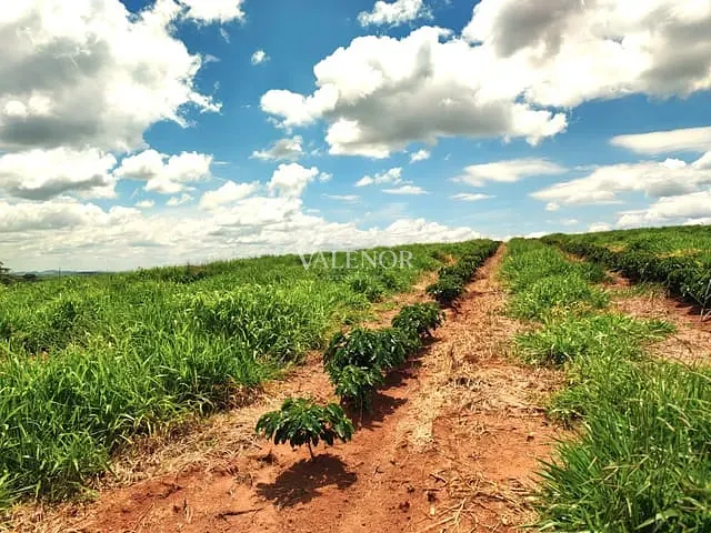 Fazenda com 169900000m² 5 quartos e 5 banheiros, à venda, no bairro Centro em São José do Rio Pardo