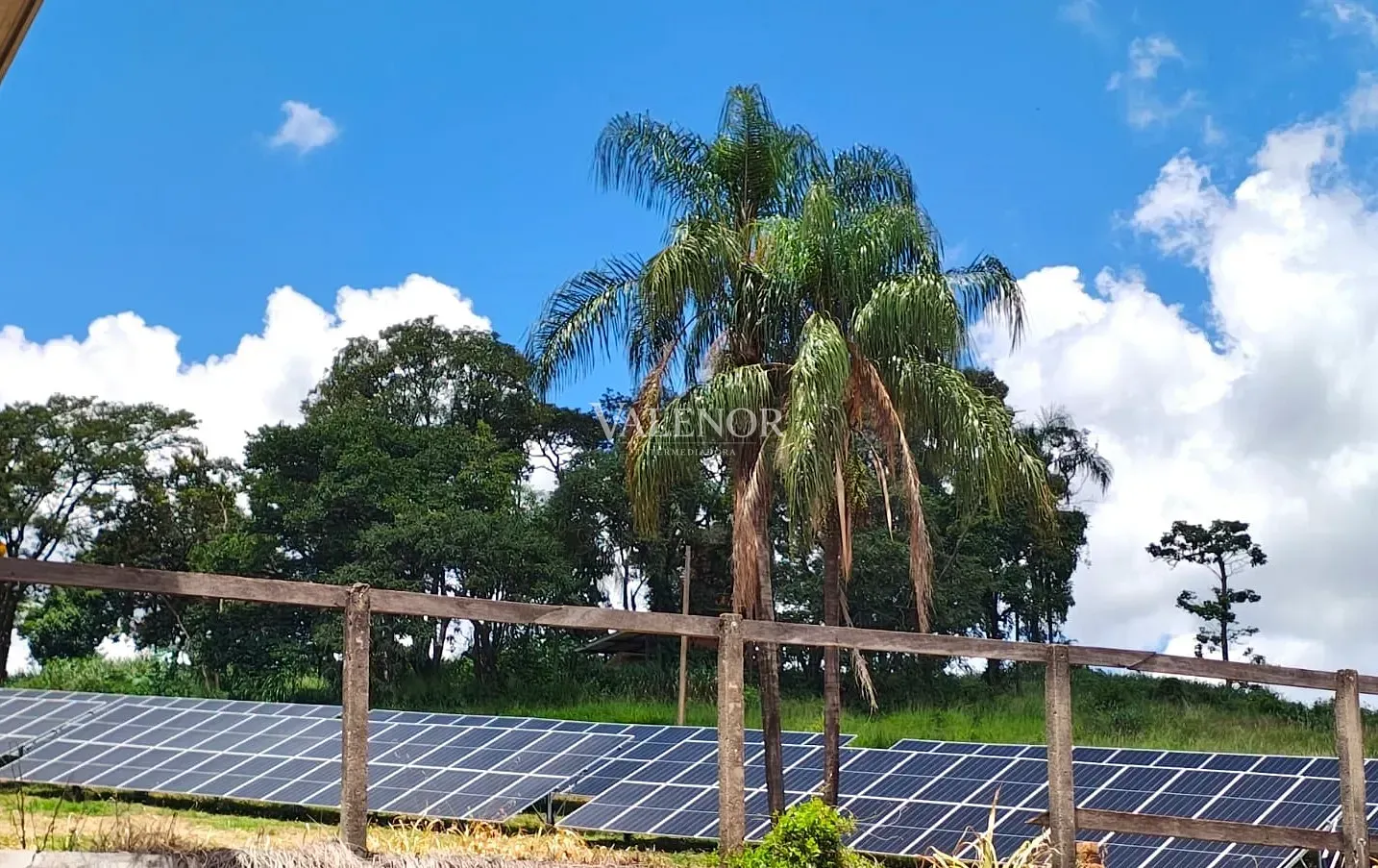 Fazenda, 16990 hectares - Foto 11
