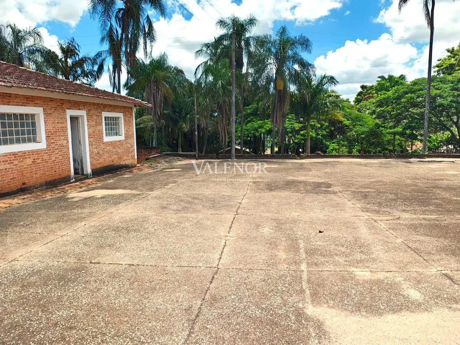 Fazenda, 16990 hectares - Foto 7