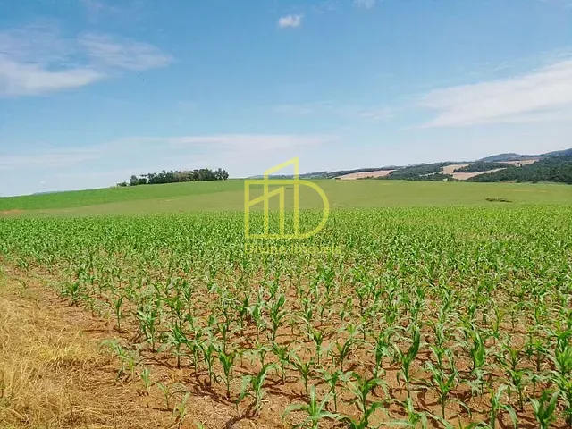 Fazenda com 6534000m², à venda, no bairro Iporanga em Itaporanga