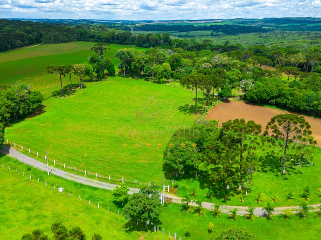 Foto do Fazenda - Lapa, Fazendinha ou Haras, 7 alqueires ou  16,94 hectares, casa sede, piscina, mina, gado,  à venda, Água Azul, PR | Imobiliária GreenVille