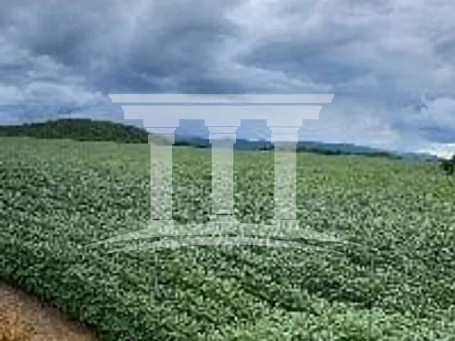 Fazenda com 23000000m², à venda, no bairro Centro em Feliz Natal
