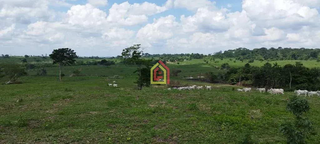Rural à venda com 5082000m² de terreno no Zona Rural, São Domingos do Araguaia (PA) — foto 16 de 17