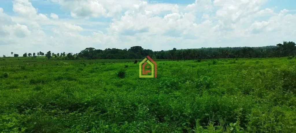 Rural à venda com 5082000m² de terreno no Zona Rural, São Domingos do Araguaia (PA) — foto 14 de 17