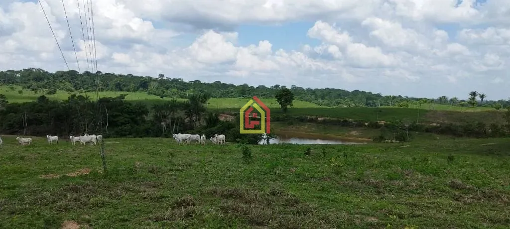 Rural à venda com 5082000m² de terreno no Zona Rural, São Domingos do Araguaia (PA) — foto 17 de 17