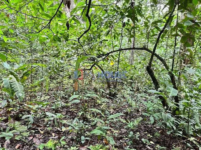 Fazenda com 540m² 2 quartos e 2 banheiros, à venda, no bairro Piedade  em Una