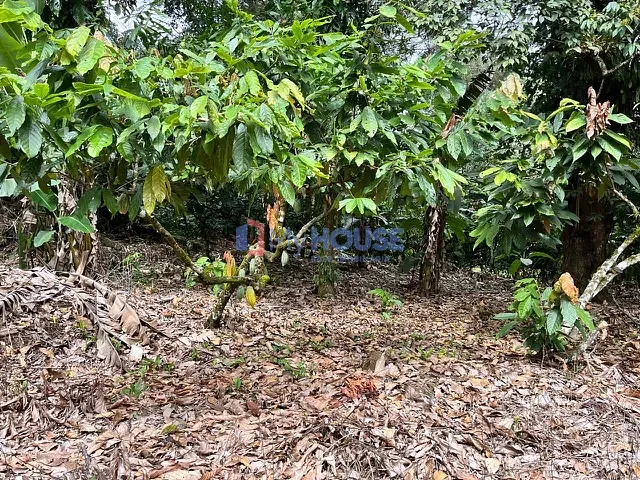 Fazenda com 540m² 2 quartos e 2 banheiros, à venda, no bairro Piedade  em Una
