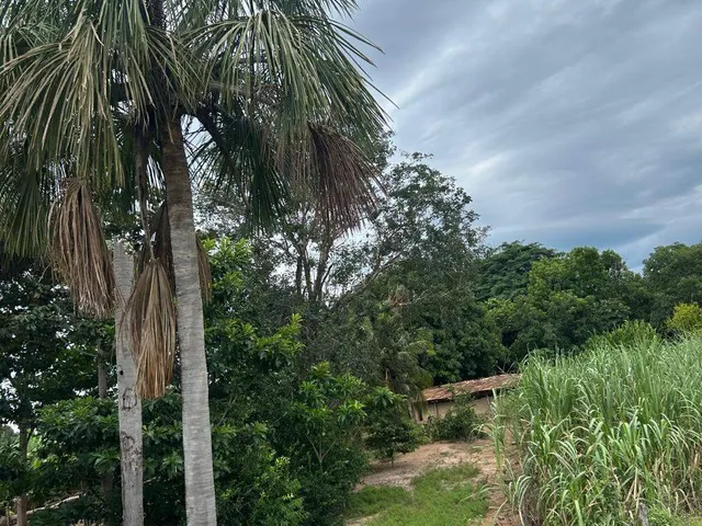 Fazenda com 31m² 3 quartos e 2 banheiros, à venda, no bairro 1 em Figueirópolis