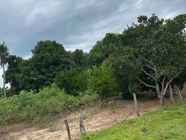 Fazenda com 31m² 3 quartos e 2 banheiros, à venda, no bairro 1 em Figueirópolis