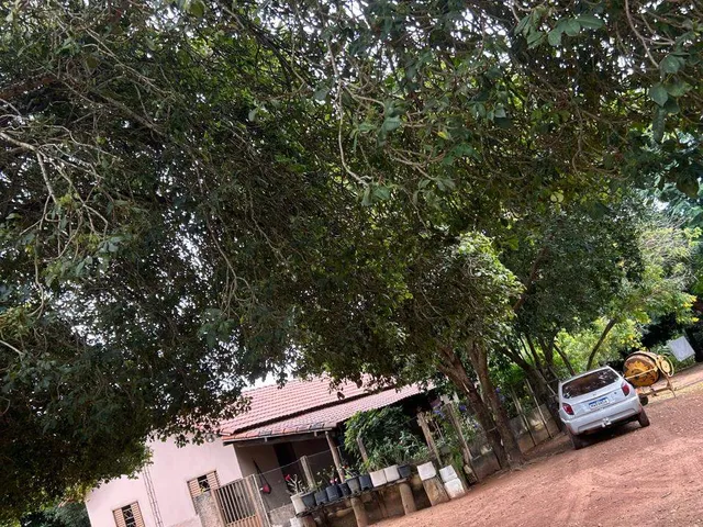 Fazenda com 31m² 3 quartos e 2 banheiros, à venda, no bairro 1 em Figueirópolis