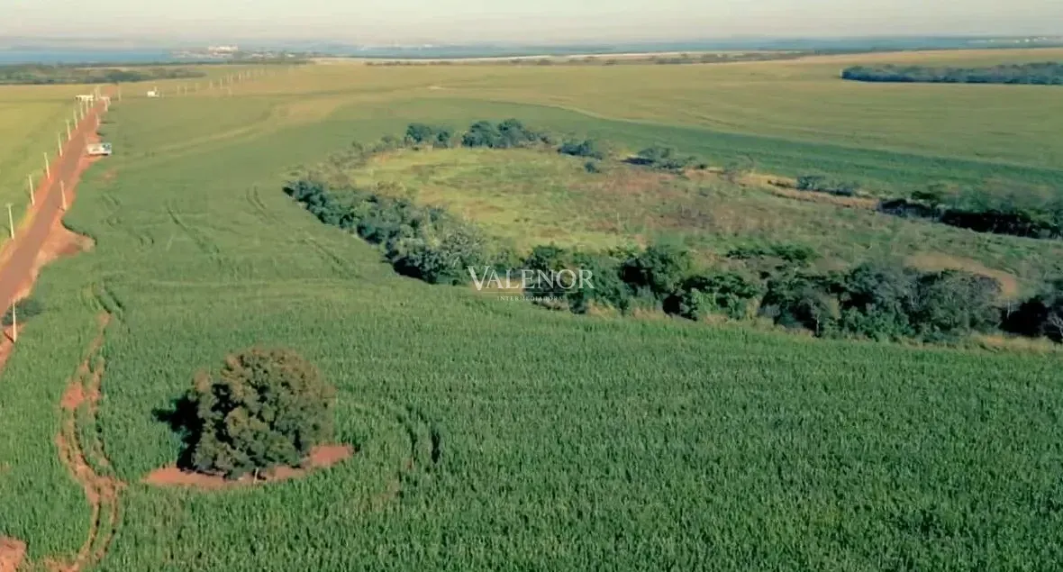 Fazenda, 692 hectares - Foto 2