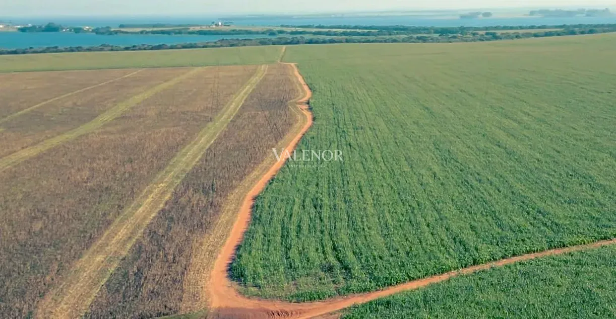 Fazenda, 692 hectares - Foto 1