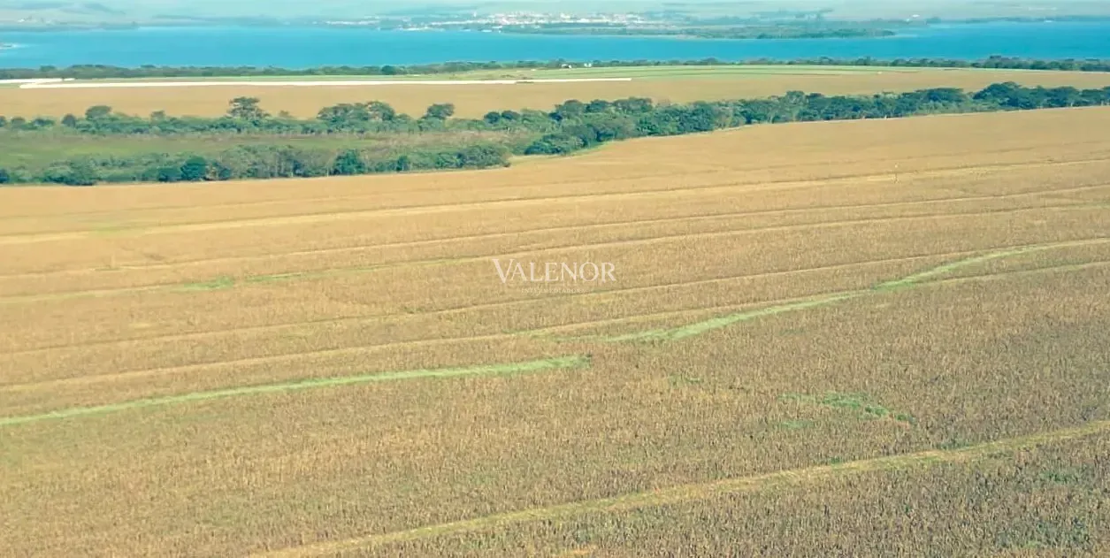 Fazenda, 692 hectares - Foto 4