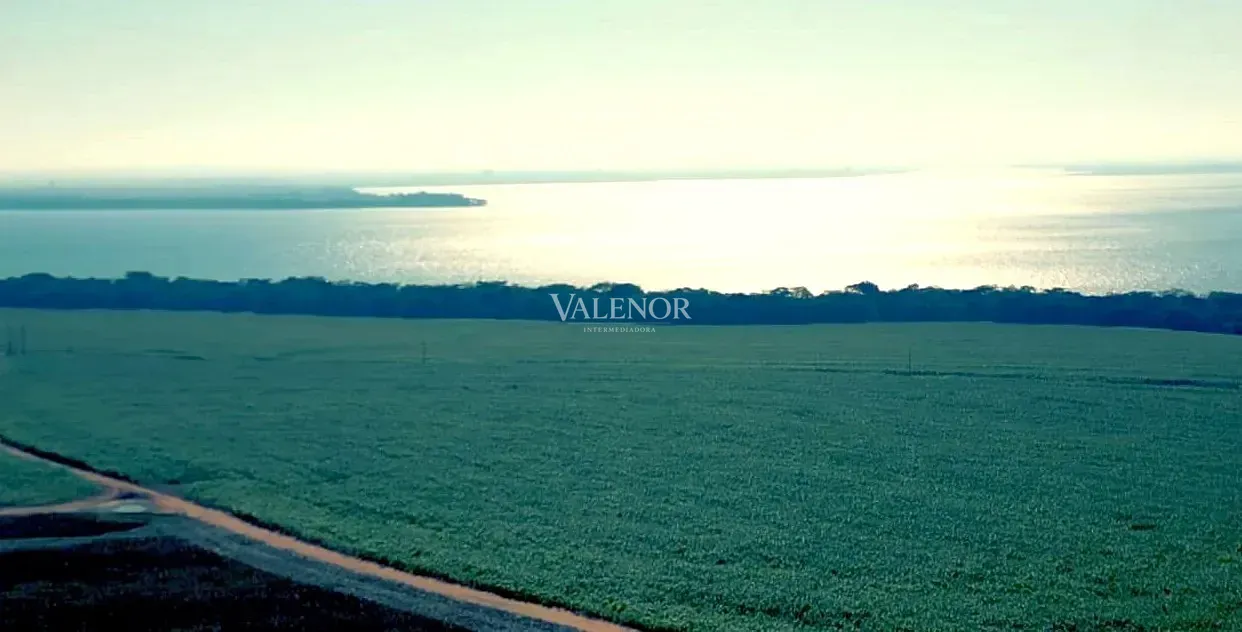 Fazenda, 692 hectares - Foto 10
