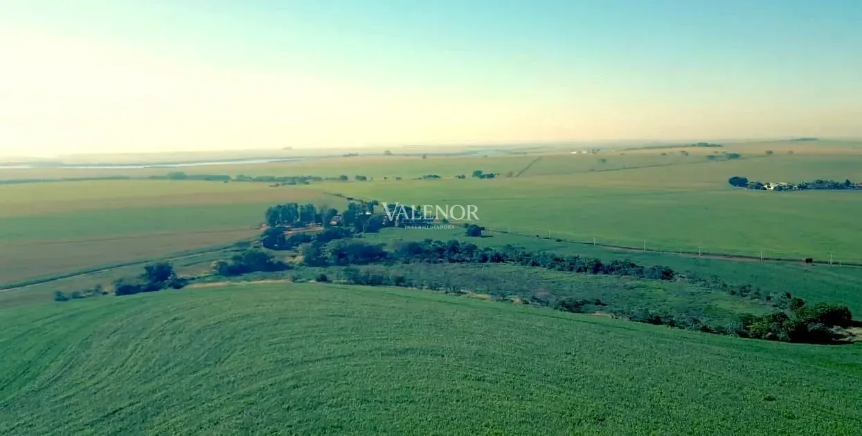 Fazenda, 692 hectares - Foto 12